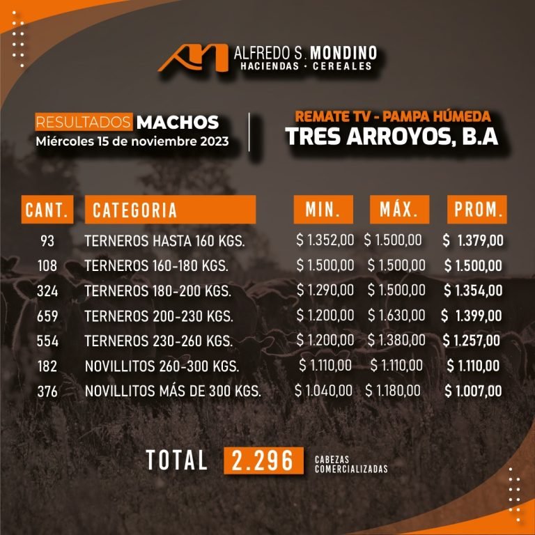 Resultados tres Arroyos 15 de Noviembre Machos