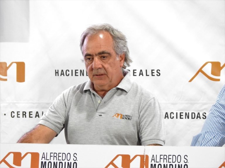 CON 9.500 CABEZAS OFRECIDAS Y VENDIDAS, MONDINO LOGRÓ MUY BUENOS VALORES EN EL REMATE DE LA PAMPA HÚMEDA