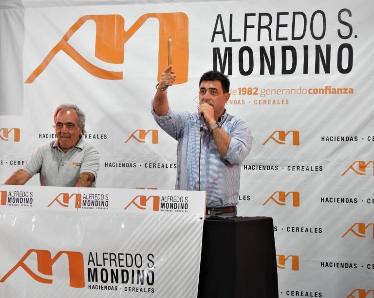 CON 9.500 CABEZAS OFRECIDAS Y VENDIDAS, MONDINO LOGRÓ MUY BUENOS VALORES EN EL REMATE DE LA PAMPA HÚMEDA