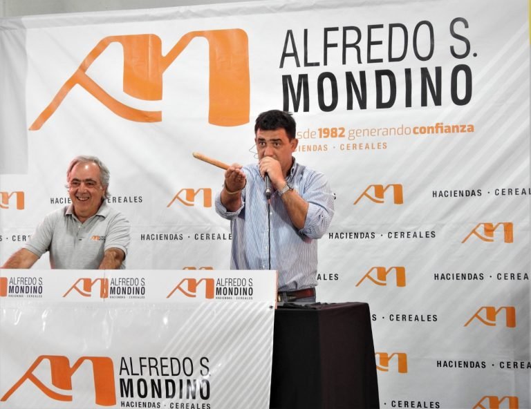 CON 9.500 CABEZAS OFRECIDAS Y VENDIDAS, MONDINO LOGRÓ MUY BUENOS VALORES EN EL REMATE DE LA PAMPA HÚMEDA