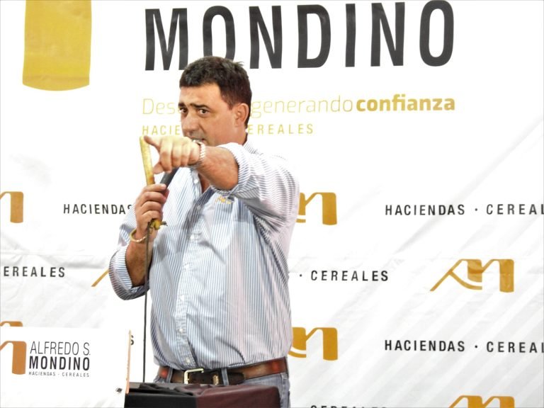 CON 9.500 CABEZAS OFRECIDAS Y VENDIDAS, MONDINO LOGRÓ MUY BUENOS VALORES EN EL REMATE DE LA PAMPA HÚMEDA