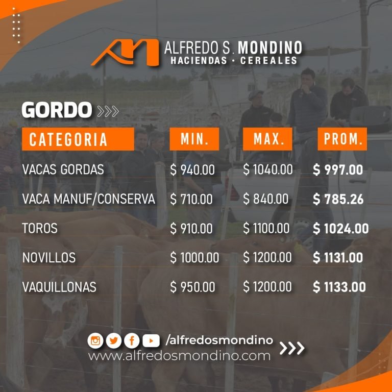 Logros destacados en nuestra feria mensual del oeste argentino