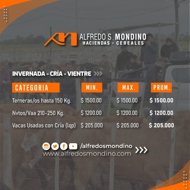 Logros destacados en nuestra feria mensual del oeste argentino