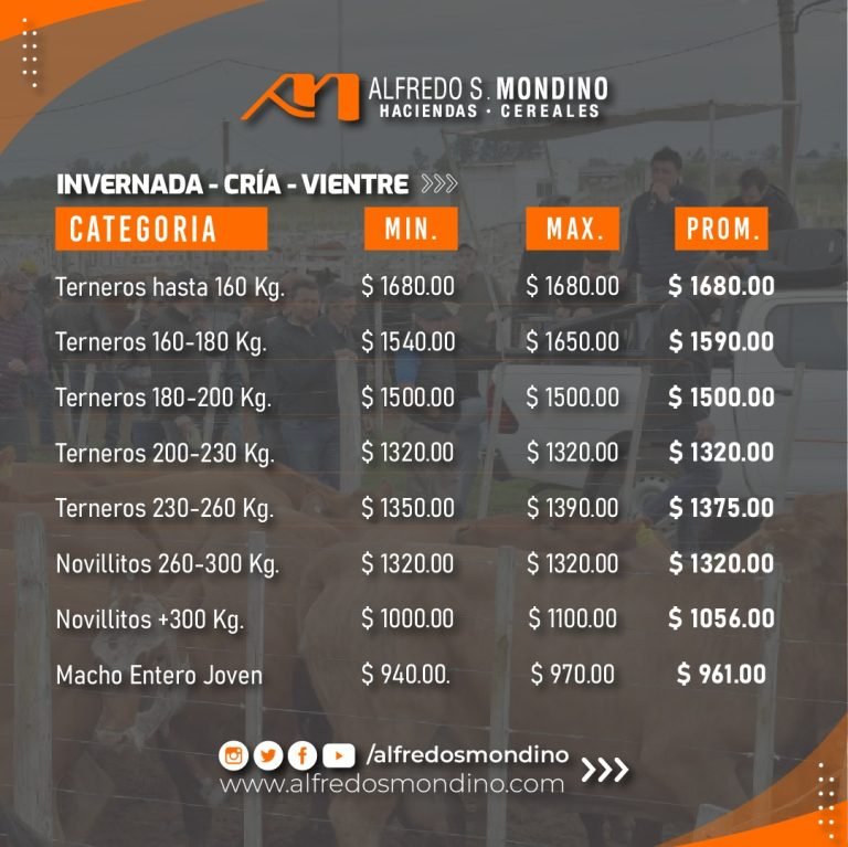 Logros destacados en nuestra feria mensual del oeste argentino