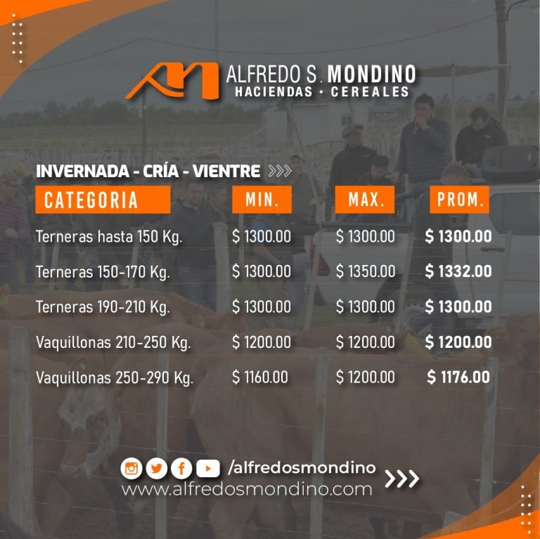 Logros destacados en nuestra feria mensual del oeste argentino