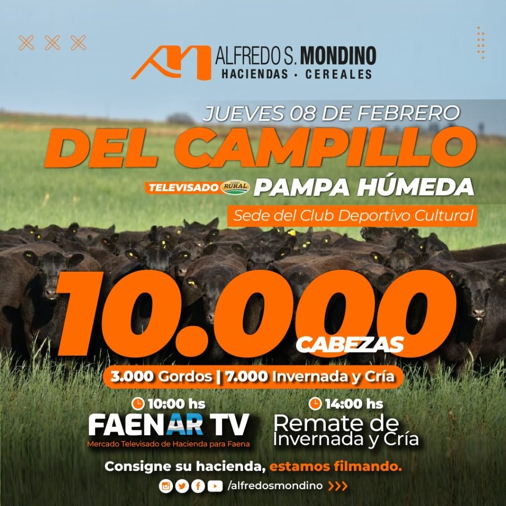 Remate TV – Del Campillo