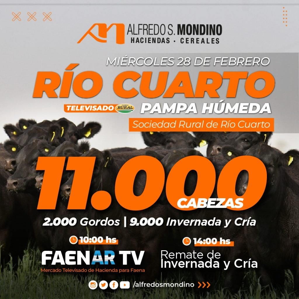 Río Cuarto – TV
