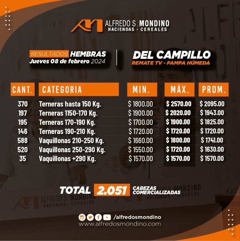 Resultados Hembras – Remate 08 de febrero 2024