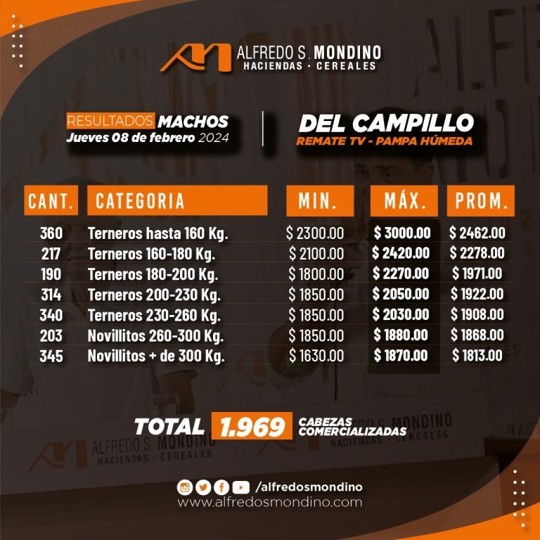 Resultados Machos – Remate 08 de febrero de 2024