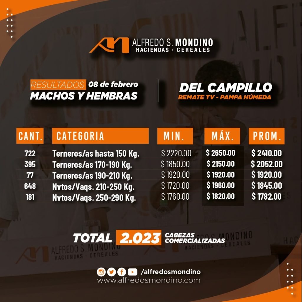 Resultados Machos y Hembras – Remate 08 de febrero 2024