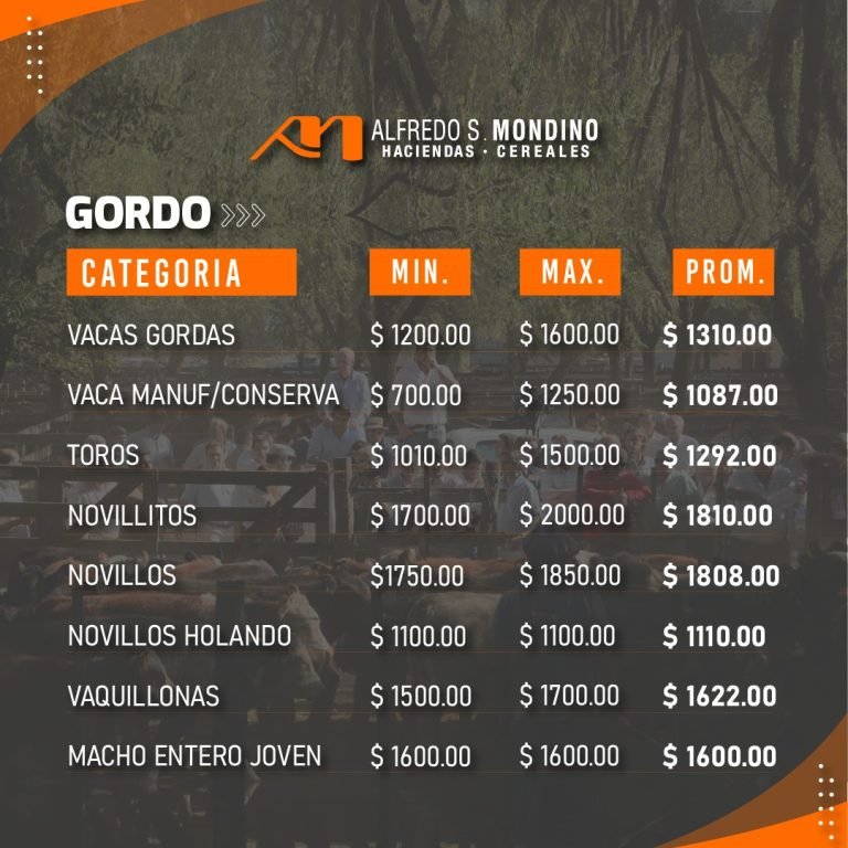 Resultados Olavarría 21.02.24 – GORDO