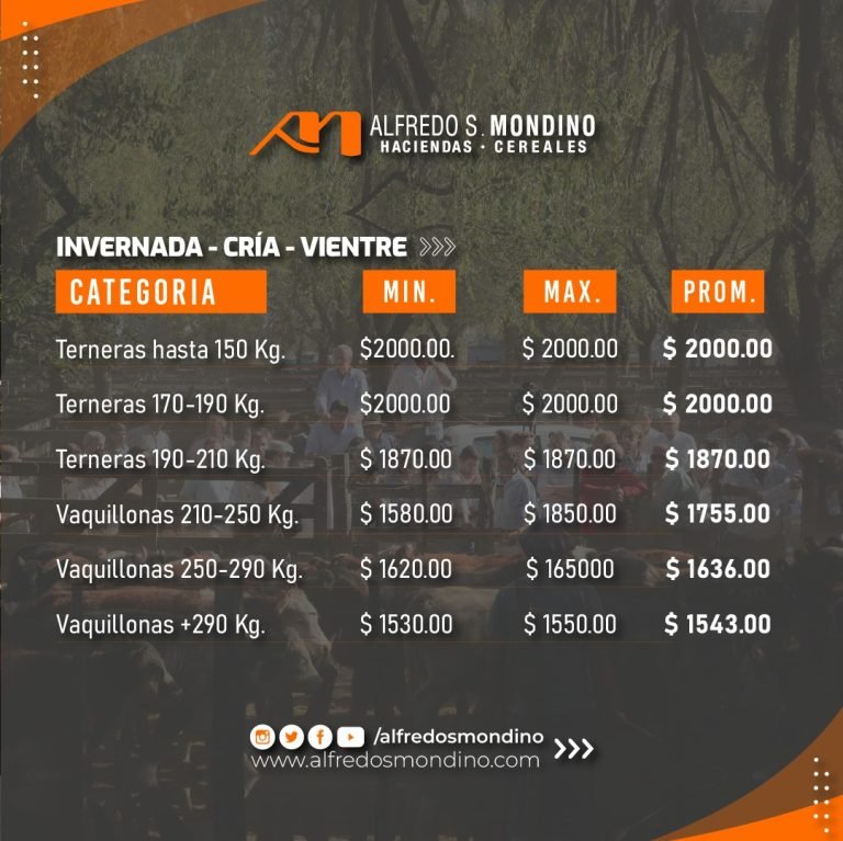 Resultados Olavarría 21.02.24 – Invernada Cría Vientre