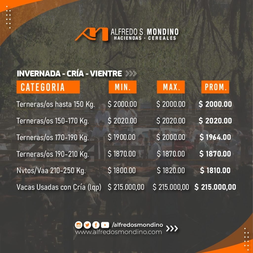 Resultados Olavarría 21.02.24 – Invernada Cría Vientre