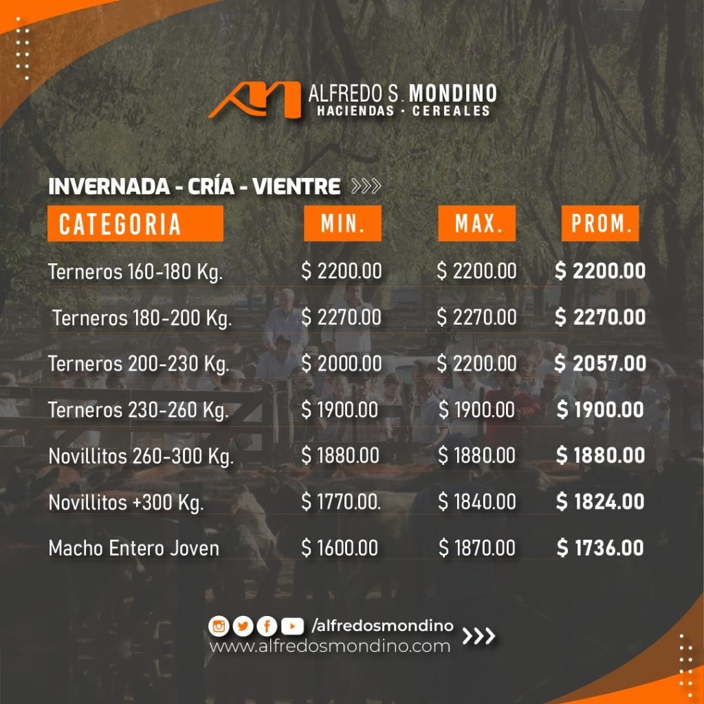 Resultados Olavarría 21.02.24 – Invernada Cría Vientre