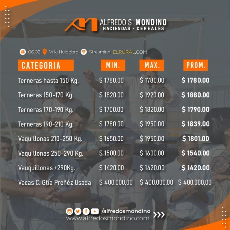 Resultados Hembras Remate 06 de febrero 2024