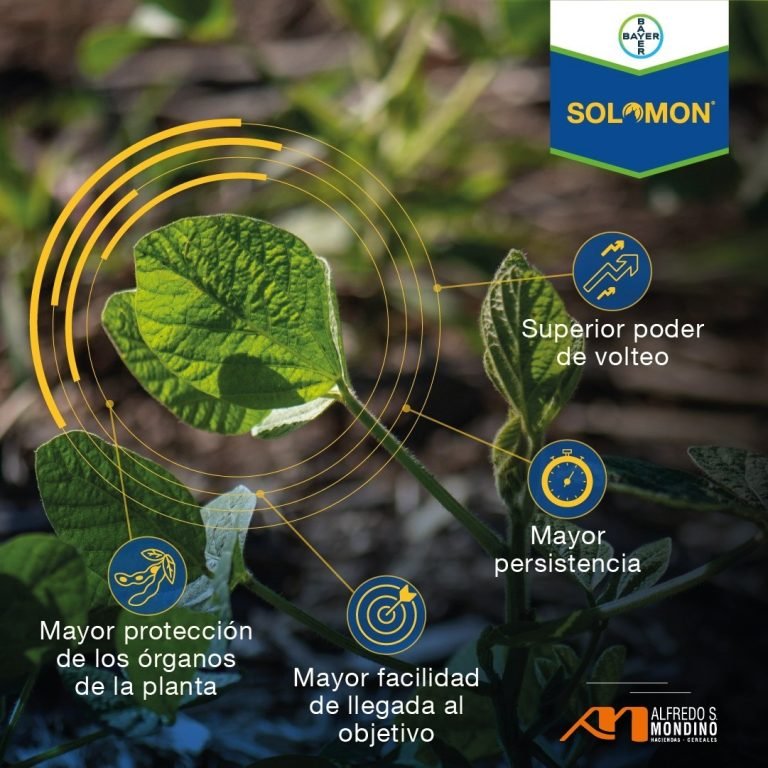 INSECTICIDA SOLOMON