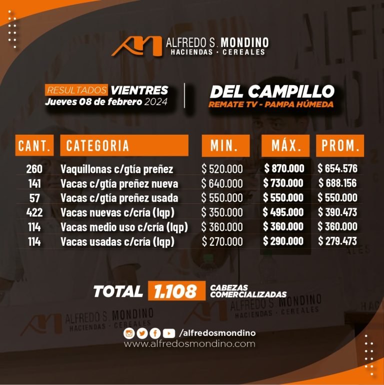 Resultados Vientres – Remate 08 de febrero 2024