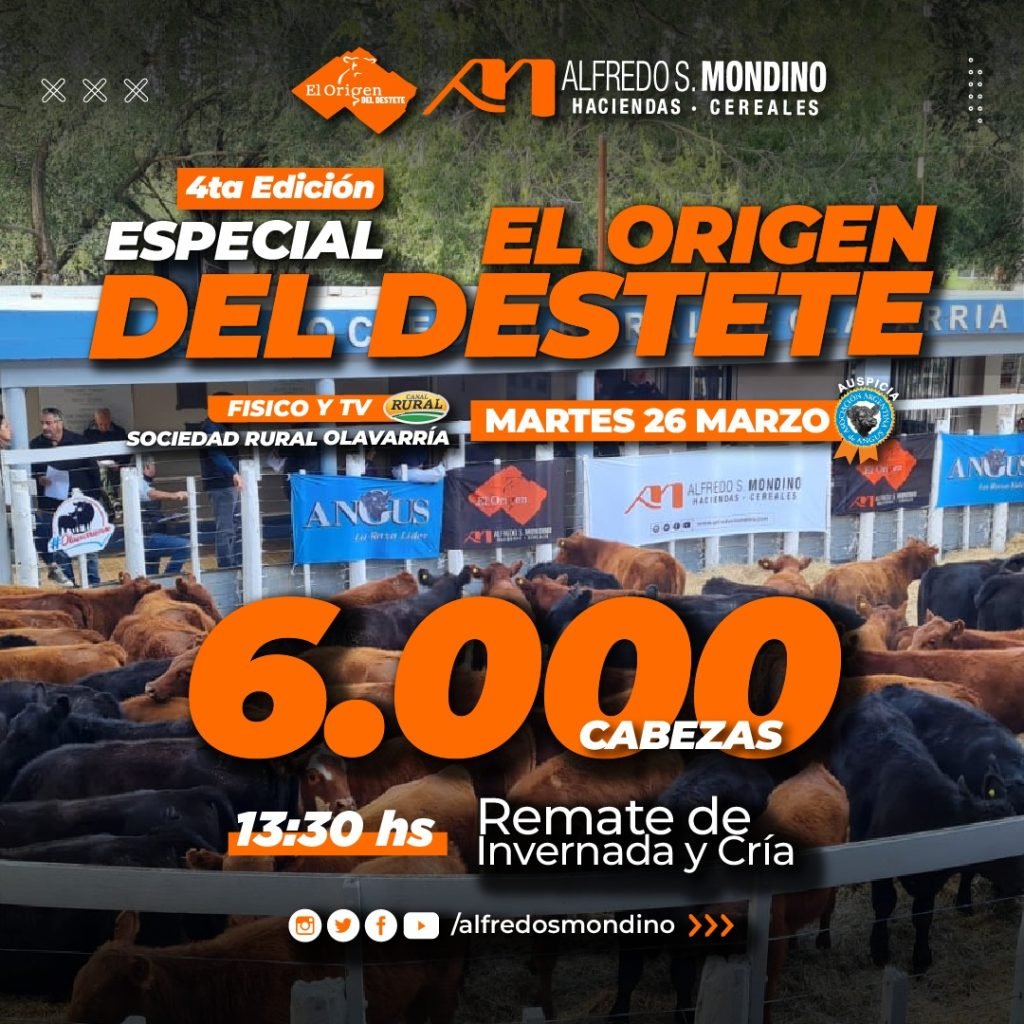 Especial Destete