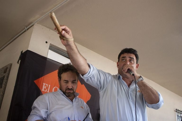 El Origen del Destete – 26 de marzo de 2024