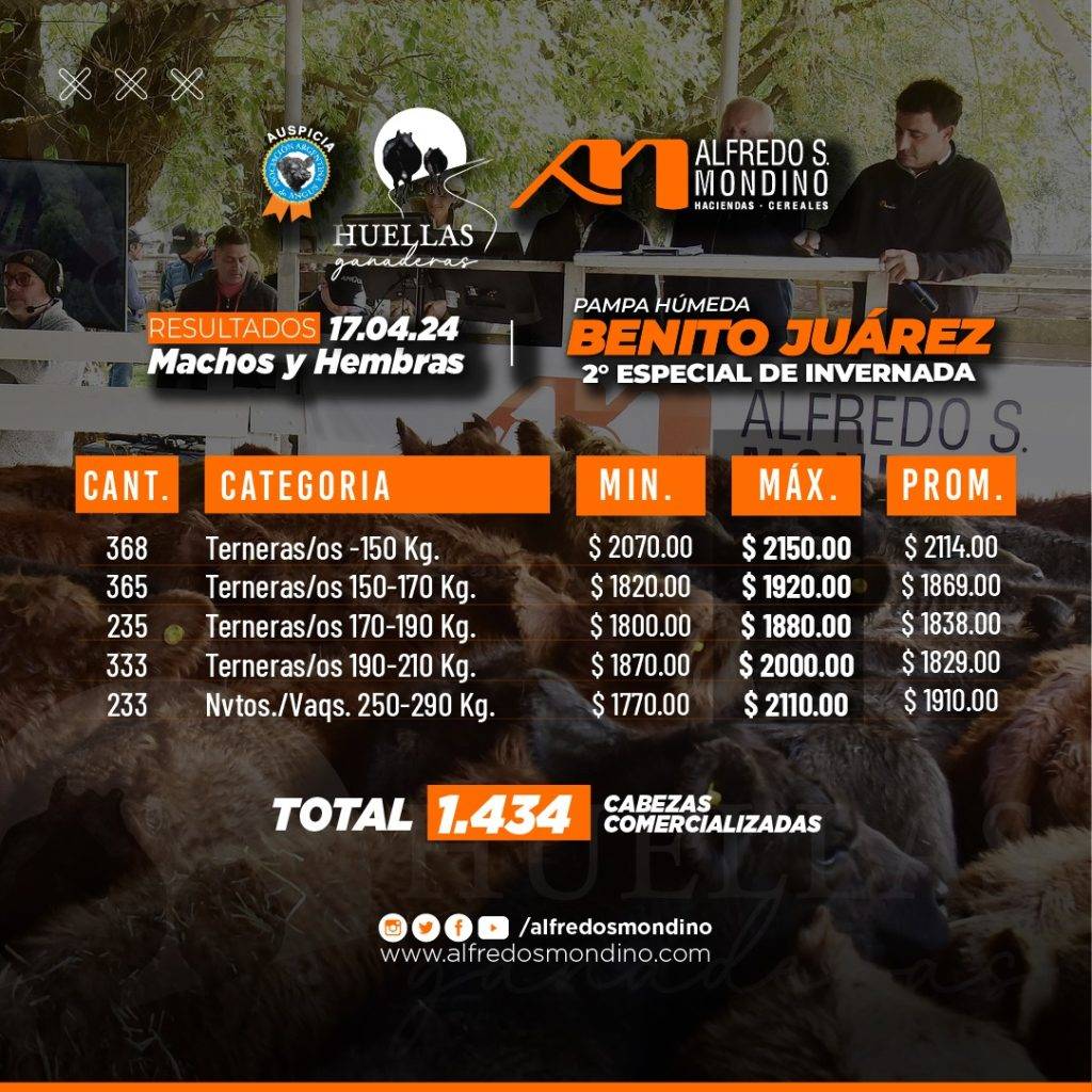 Resultados Machos y Hembras 17 de abril