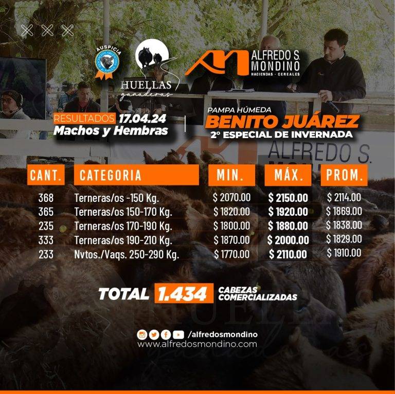 Resultados Machos y Hembras 17 de abril