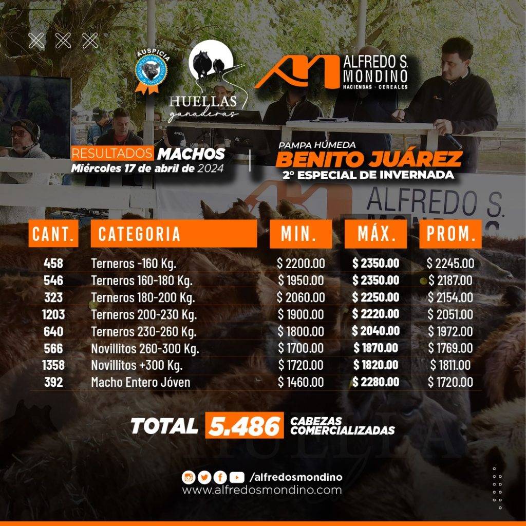 Resultados Machos 17 de abril