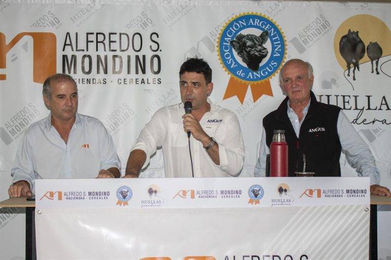 La demanda respaldó con firmeza la calidad de las 14 mil cabezas que Mondino remató en Benito Juárez