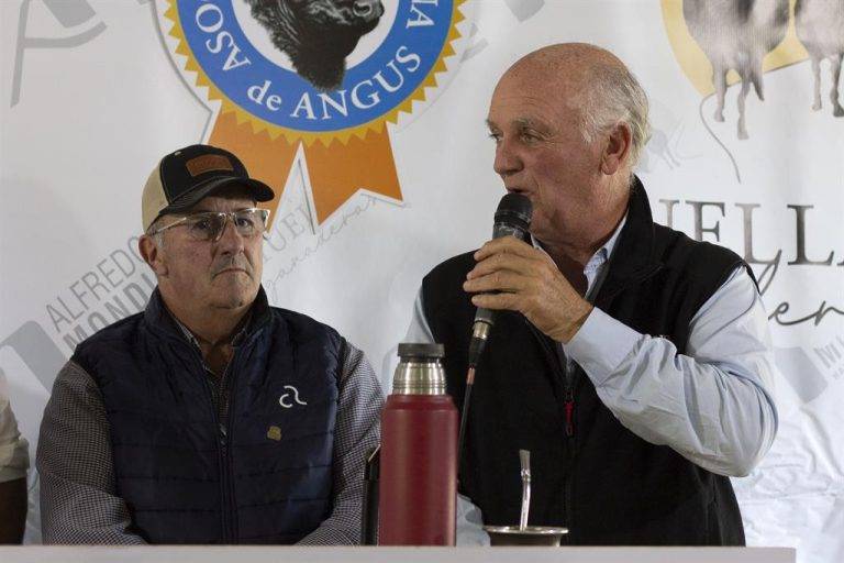 La demanda respaldó con firmeza la calidad de las 14 mil cabezas que Mondino remató en Benito Juárez