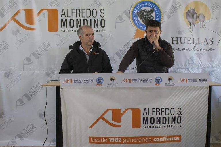 La demanda respaldó con firmeza la calidad de las 14 mil cabezas que Mondino remató en Benito Juárez