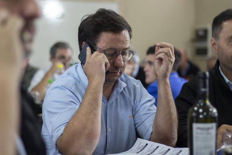 La demanda respaldó con firmeza la calidad de las 14 mil cabezas que Mondino remató en Benito Juárez