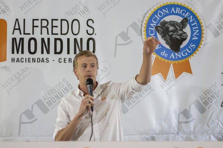 La demanda respaldó con firmeza la calidad de las 14 mil cabezas que Mondino remató en Benito Juárez