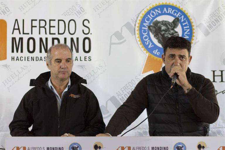 La demanda respaldó con firmeza la calidad de las 14 mil cabezas que Mondino remató en Benito Juárez