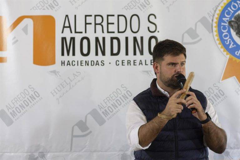 La demanda respaldó con firmeza la calidad de las 14 mil cabezas que Mondino remató en Benito Juárez