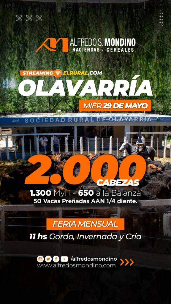 Feria Mensual Olavarría