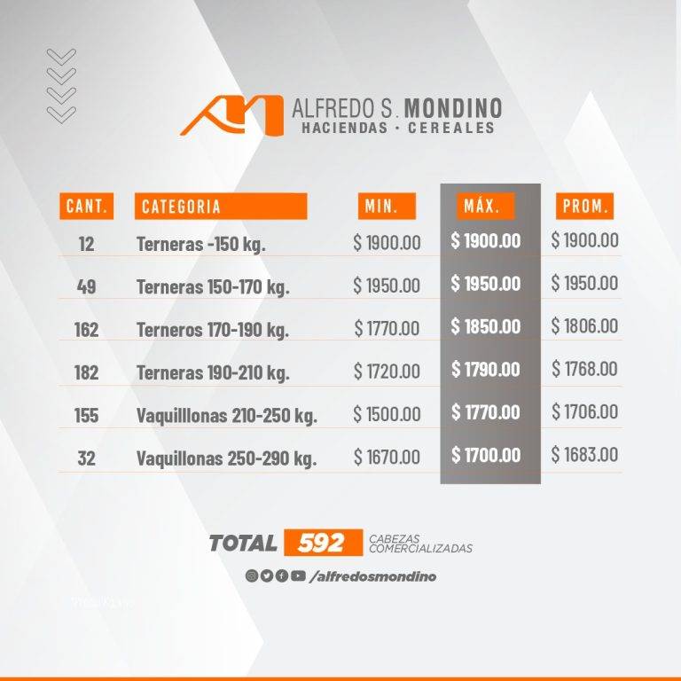 Resultados Hembras- Olavarría 29 de mayo
