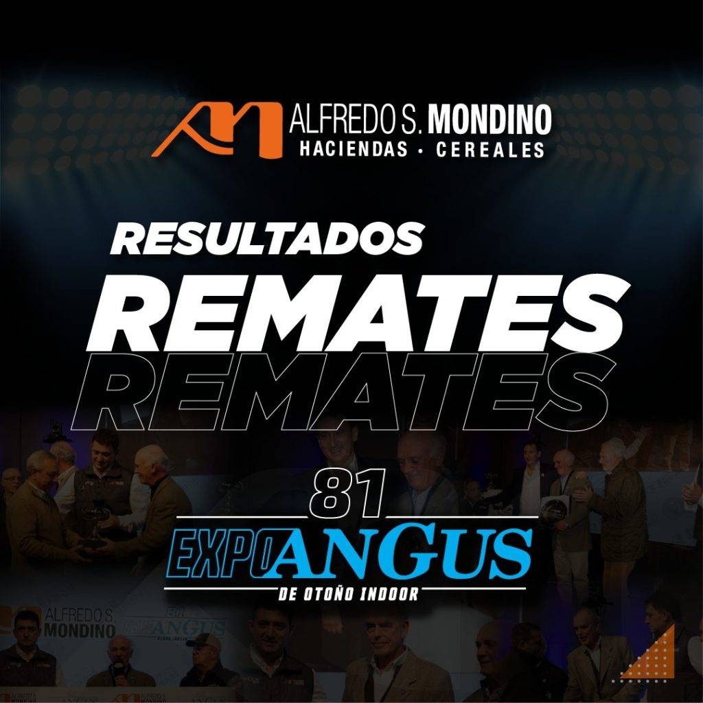 Resultados Remates Expo Angus