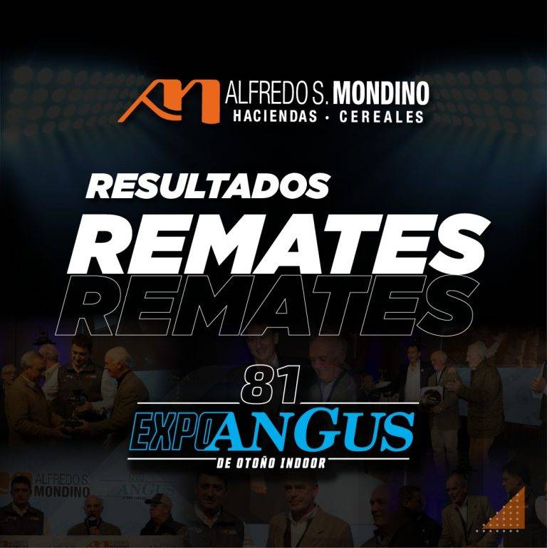 Resultados Remates Expo Angus