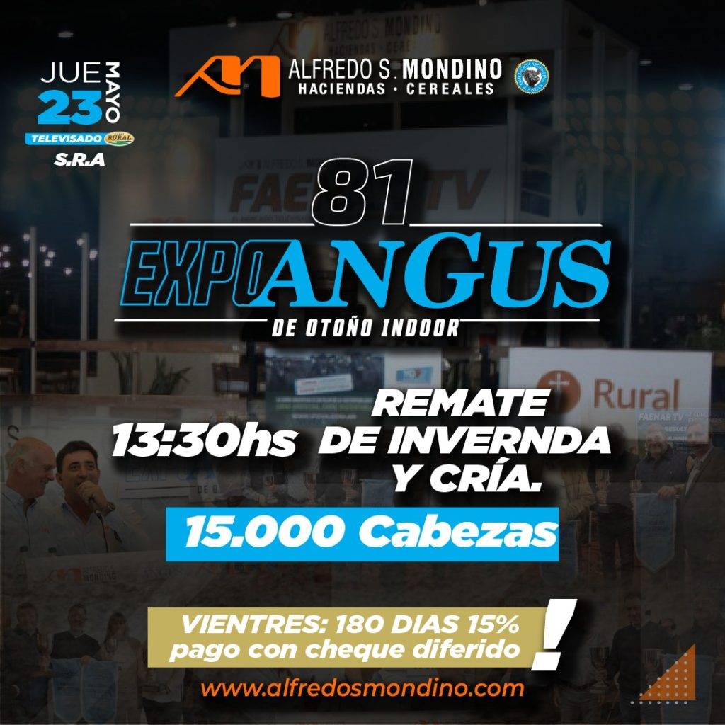 Especial Expo Angus – Palermo