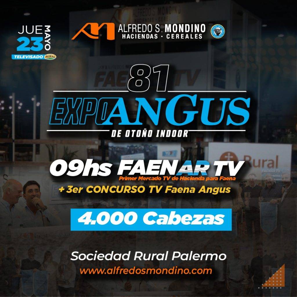 Especial Expo Angus – Palermo