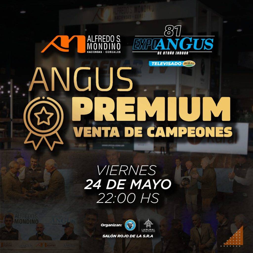 Venta de Campeones ANGUS PREMIUM