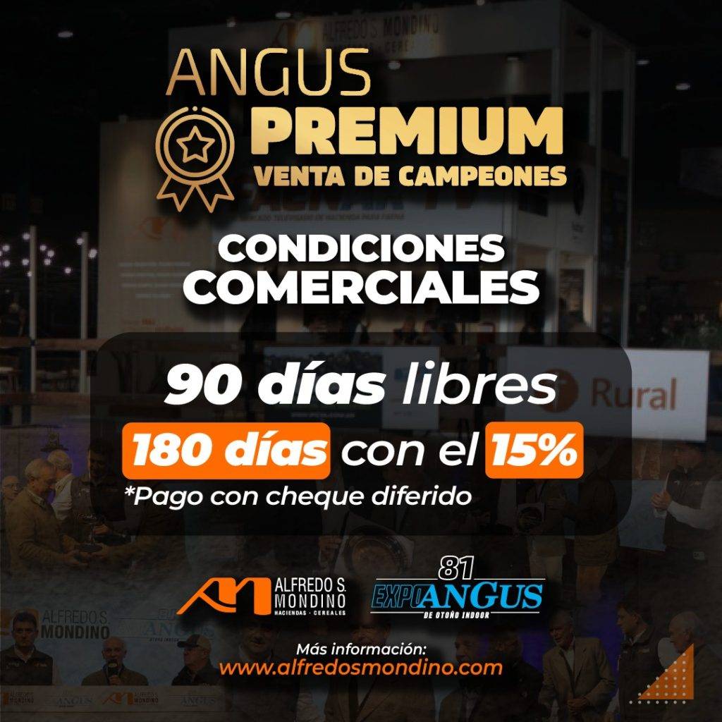 Venta de Campeones ANGUS PREMIUM
