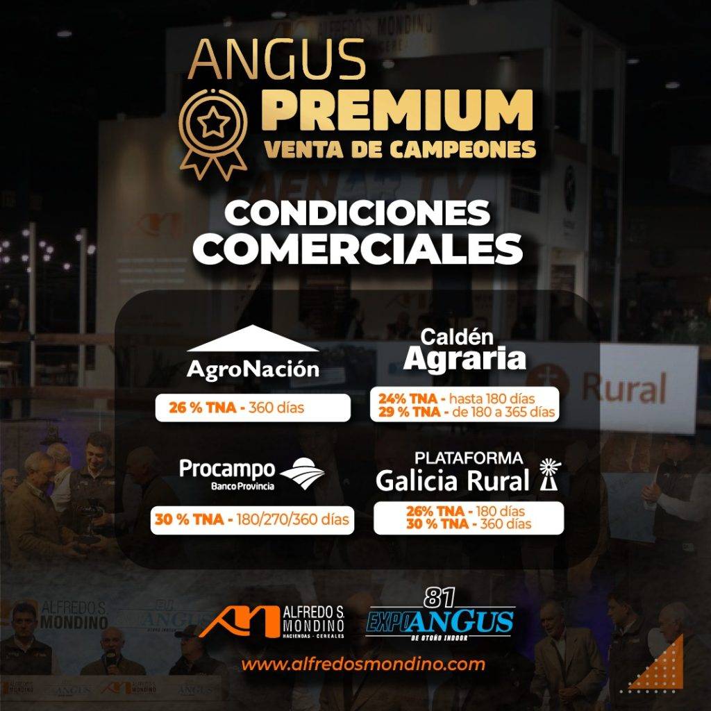 Venta de Campeones ANGUS PREMIUM