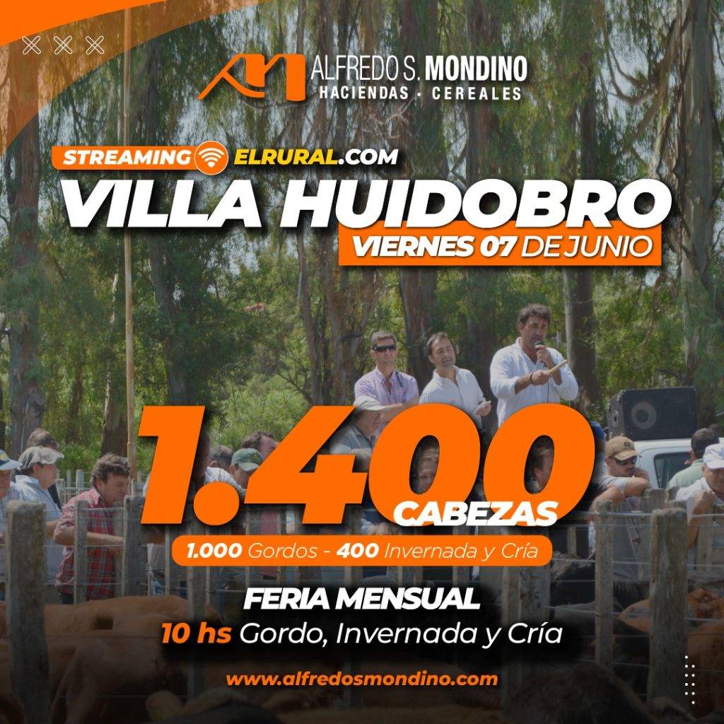 Remate Villa Huidobro