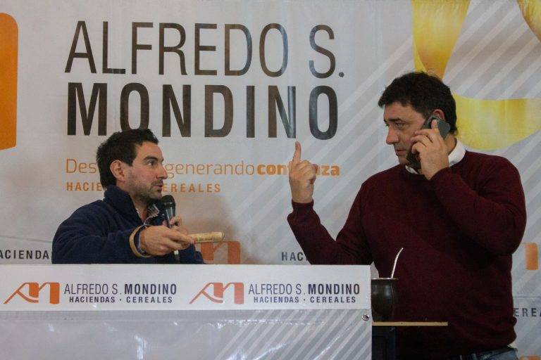 SEGUNDO REMATE TELEVISADO EN BAHÍA BLANCA DE LA FIRMA ALFREDO S. MONDINO CON CASI 6000 ANIMALES