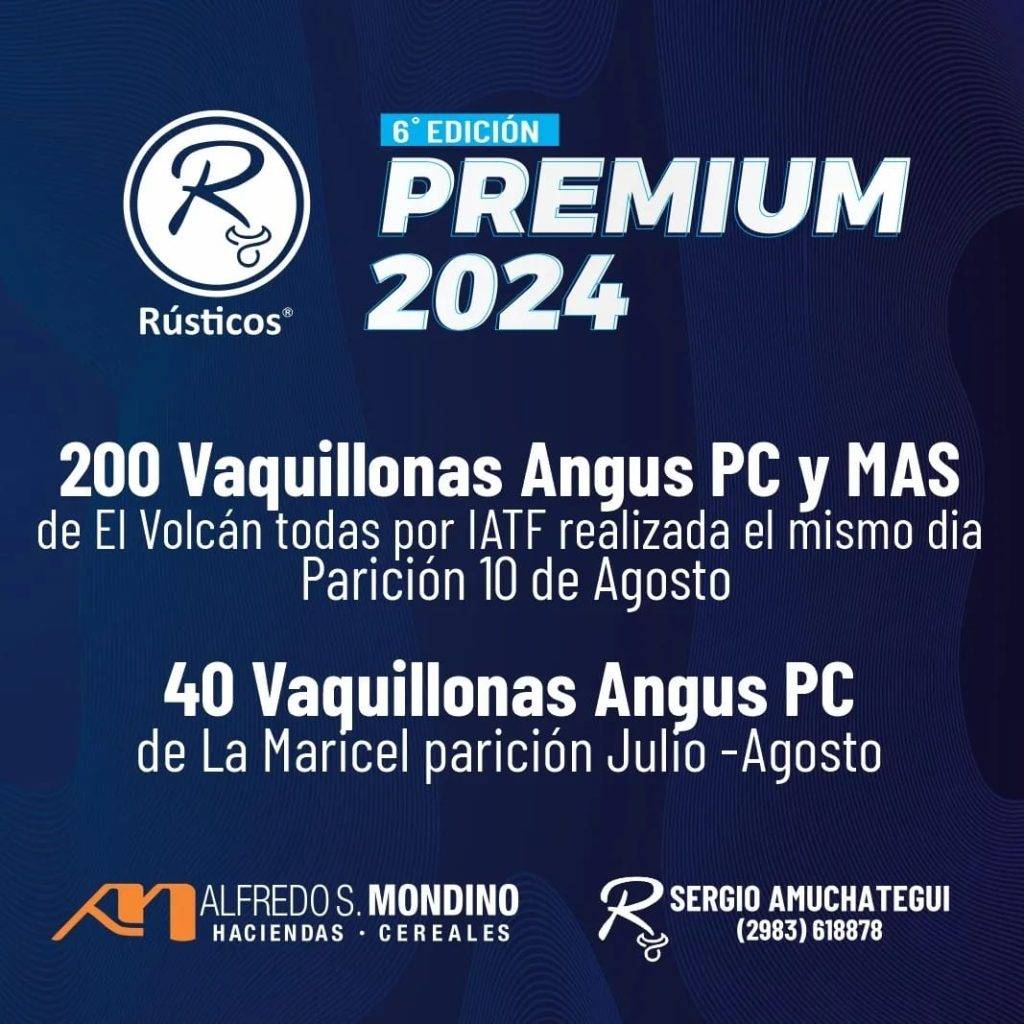 Rústicos Premium 2024