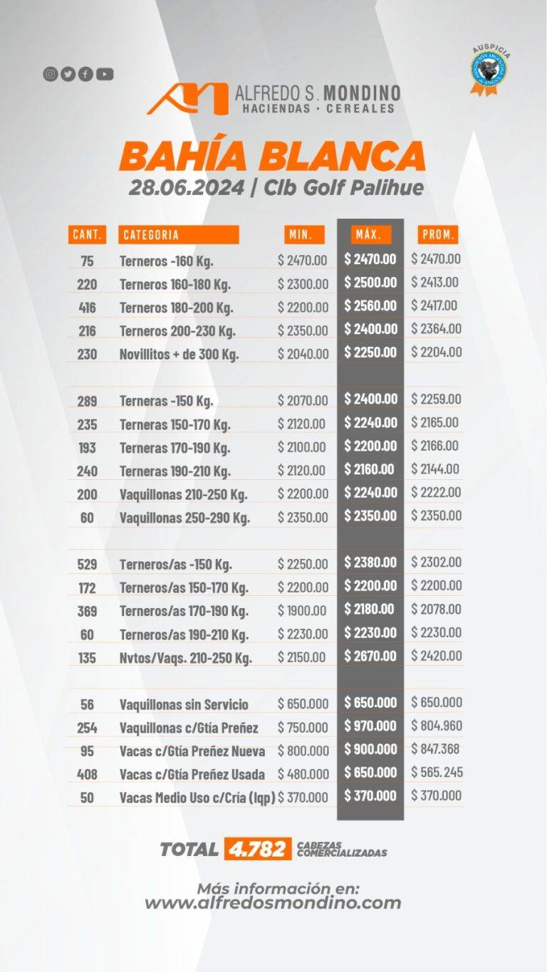 Resultados Remate Bahía Blanca 28 de junio