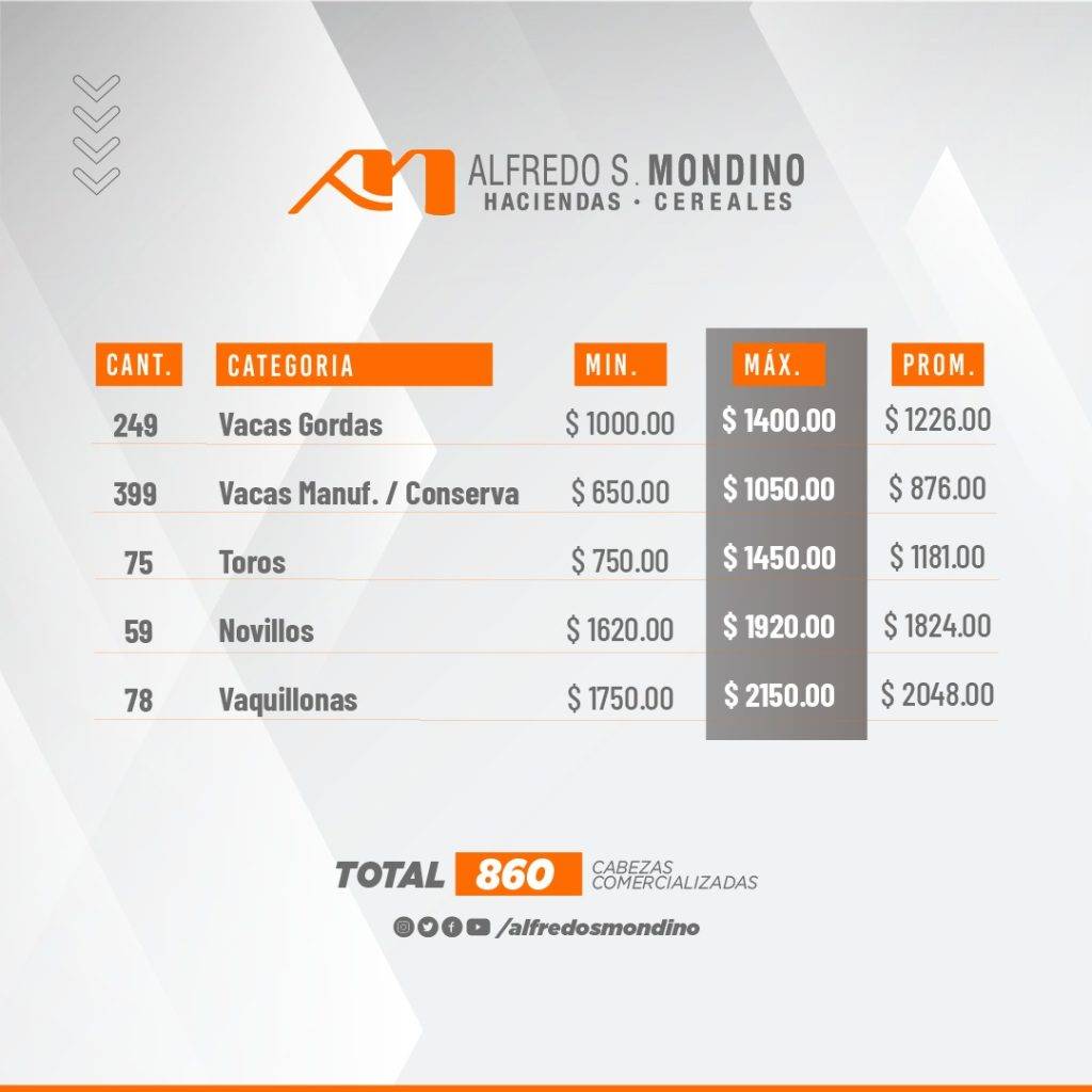 Resultados Remate Villa Huidobro-7 de junio- Gordos