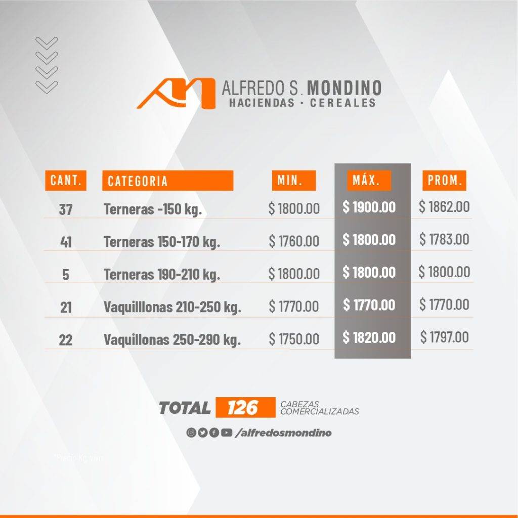 Resultados Remate Villa Huidobro 7 de junio- Hembras