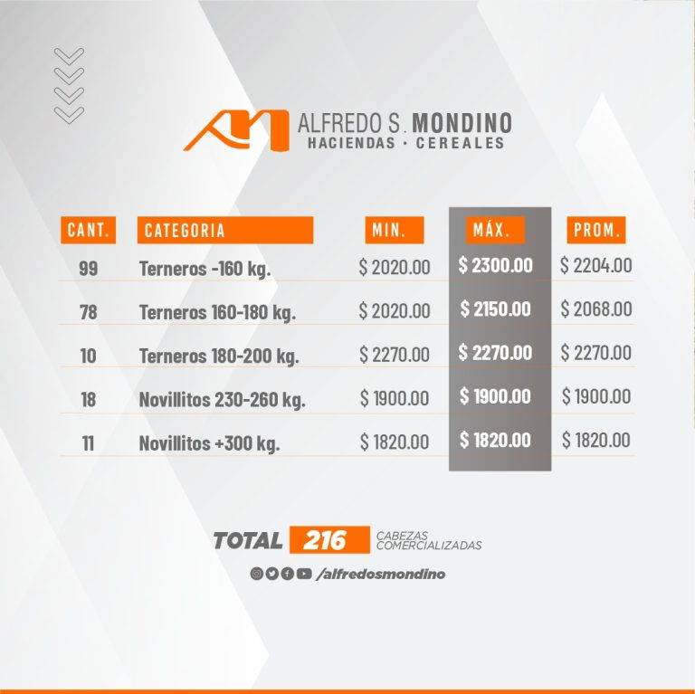 Resultados Remate Villa Huidobro 7 de junio- Machos