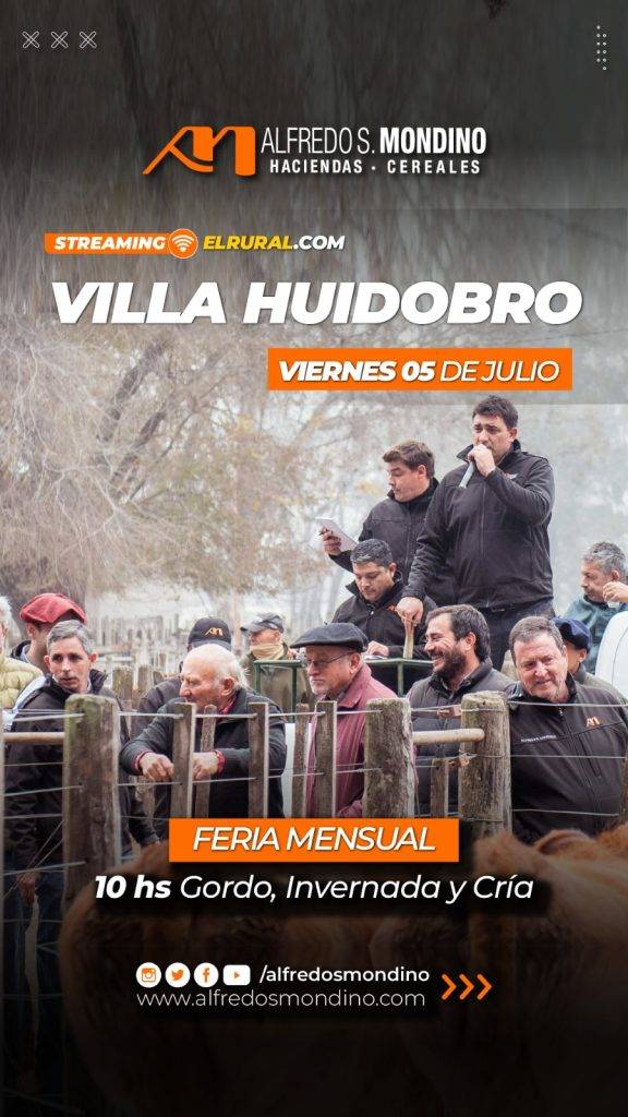 Feria Mensual Villa Huidobro